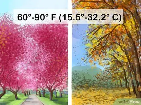 Применение травы и корма, шаг 1