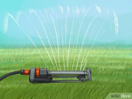 Применение травы и корма, шаг 4