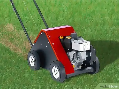 Избавьтесь от мха на лужайке Шаг 10