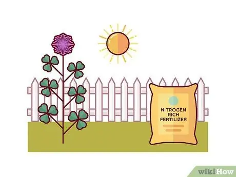 Убить Клевер, шаг 1