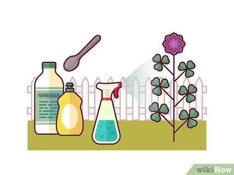 Убить Клевер, шаг 4