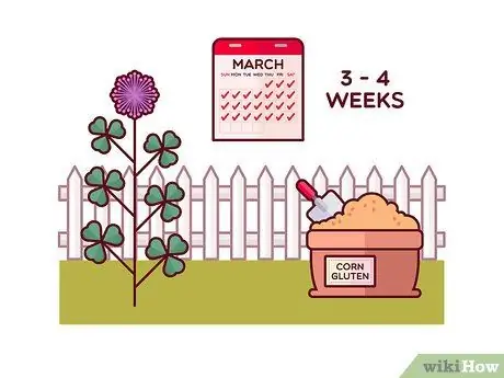 Убить Клевер, шаг 5