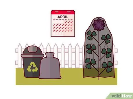 Убить Клевер, шаг 6