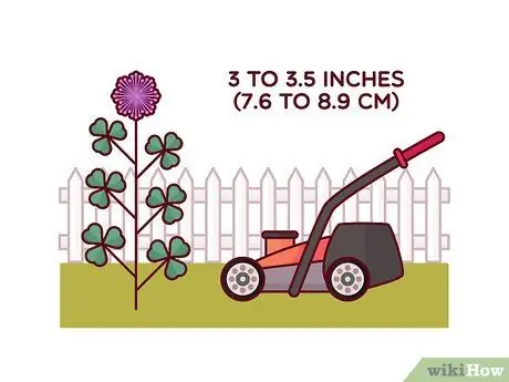 Убить Клевер, шаг 9