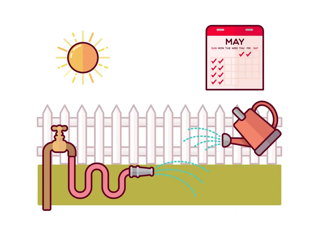 3 способа убить клевер