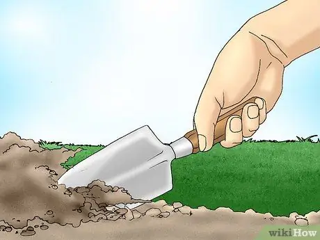 Удалите белый клевер с лужайки Шаг 6