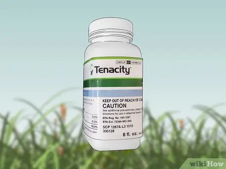 Убить Нимблвилла, шаг 1