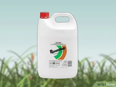 Убить Нимблвилла, шаг 2