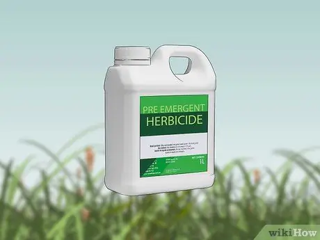 Убить Нимблвилла, шаг 3