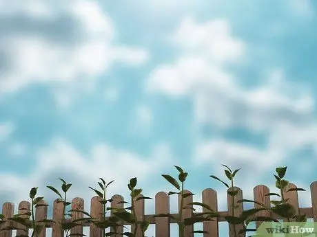 Убить Нимблвилла, шаг 4