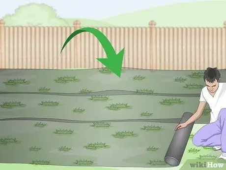 Засеять газон сорняками Шаг 13