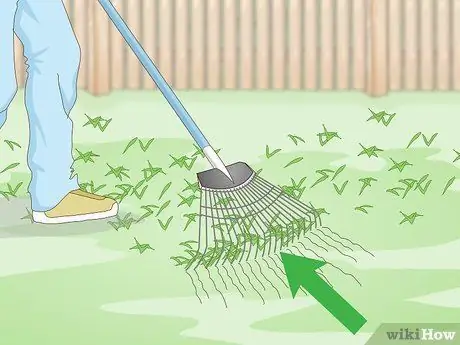 Засеять газон сорняками Шаг 15