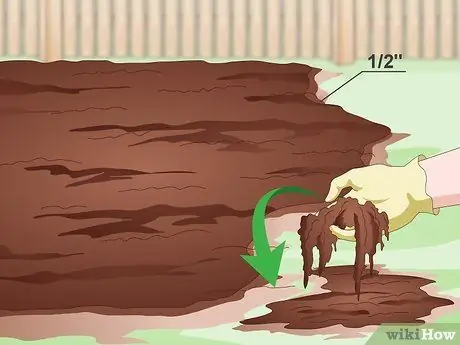 Засеять газон сорняками Шаг 16