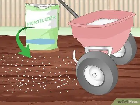 Засеять газон сорняками Шаг 17