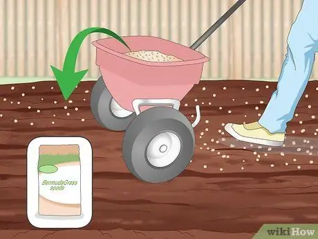 Засеять газон сорняками Шаг 18