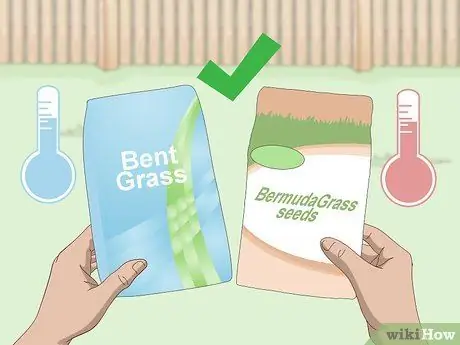 Засеять газон сорняками Шаг 3