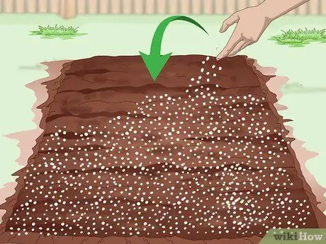 Засеять газон сорняками Шаг 8