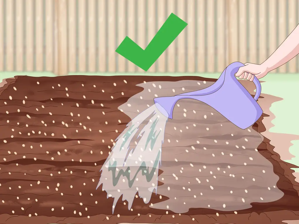 3 способа засеять газон сорняками