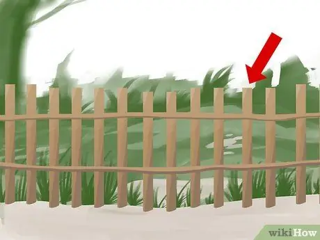 Приручить клематисов Шаг 2