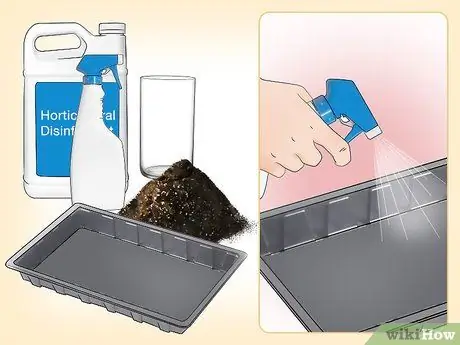 Размножение клематисов Шаг 2