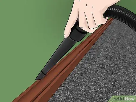 Предотвратить появление ковровых жуков Шаг 5 Предотвратить появление ковровых жуков Шаг 5