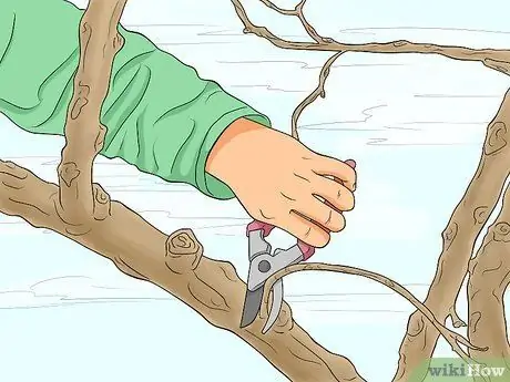 Чистая черепица Шаг 11