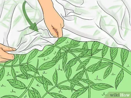 Чистая черепица Шаг 3