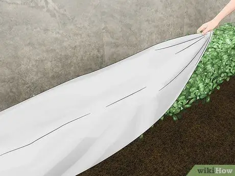 Промывка под давлением Шаг 12