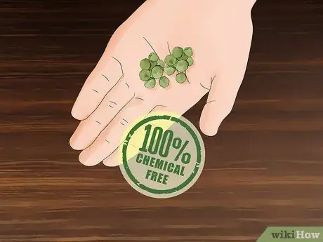 Купить Garden Seed Step 3