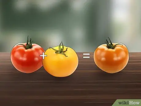Купить Garden Seed Step 5