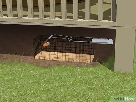 Заполнить дыры от бурундука, шаг 6