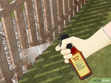 Заполнить дыры от бурундука, шаг 7