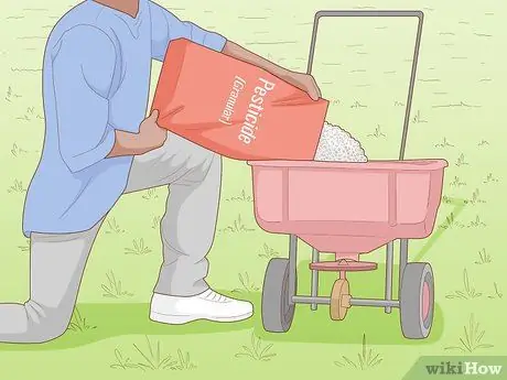 Удаление белых личинок с газонов Шаг 6