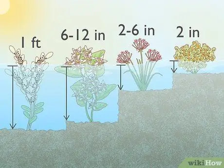 Посадить растения на окраинах пруда Шаг 1