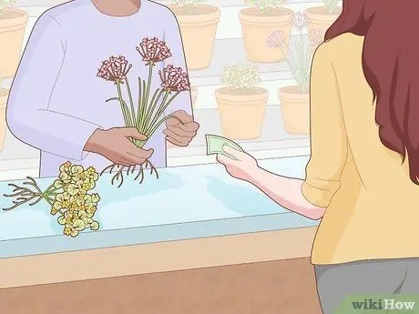 Посадить растения на окраинах пруда Шаг 2