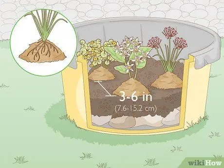 Посадить растения на окраинах пруда Шаг 7