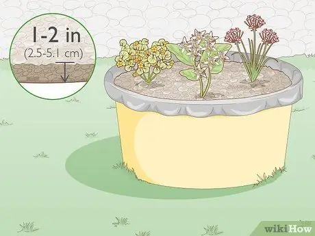 Посадить растения на окраинах пруда Шаг 8