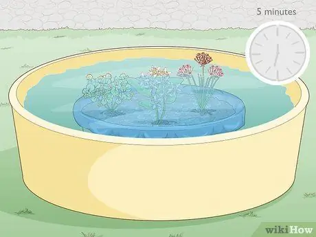 Посадить растения на окраинах пруда Шаг 9