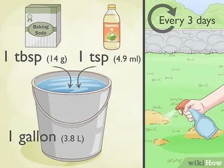 Лечить газонный гриб естественным путем Шаг 1