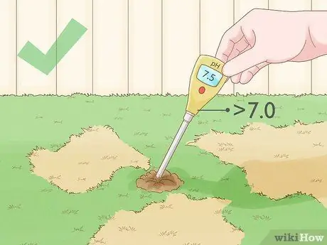 Лечить газонный гриб естественным путем Шаг 10