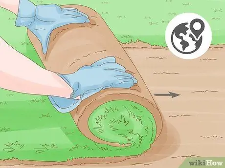 Лечить газонный гриб естественным путем Шаг 11