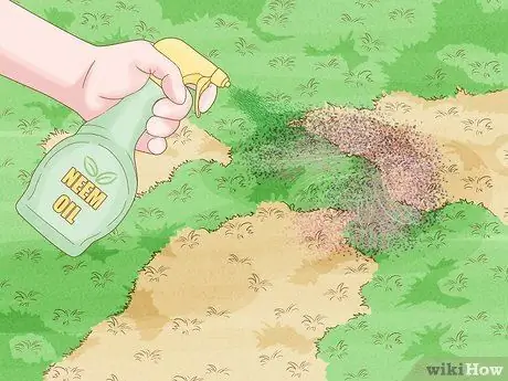 Лечить газонный грибок естественным путем Шаг 2