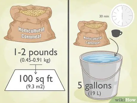 Лечить газонный гриб естественным путем Шаг 3
