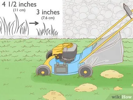 Лечить газонный гриб естественным путем Шаг 4