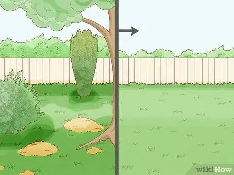 Лечить газонный гриб естественным путем Шаг 6