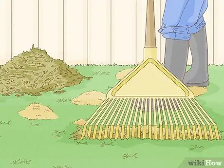 Лечить газонный гриб естественным путем Шаг 8