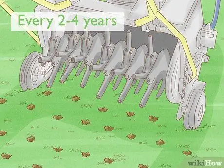 Лечить газонный гриб естественным путем Шаг 9