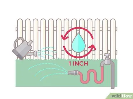 Укладка газона с газоном Шаг 11