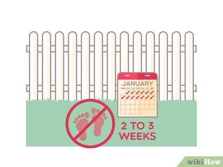 Укладка газона Шаг 12