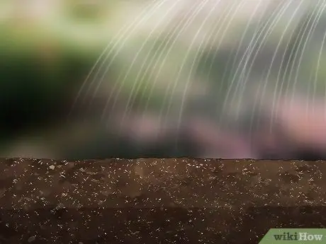 Подготовка почвы для дерна Шаг 11